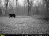 38953 Ada Beach Road - Photo 71