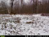 38953 Ada Beach Road - Photo 72