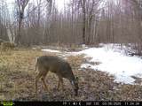 38953 Ada Beach Road - Photo 74