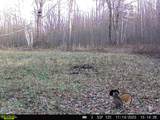38953 Ada Beach Road - Photo 75