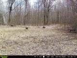 38953 Ada Beach Road - Photo 77
