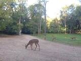 5900 Remington Road - Photo 9