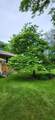 2567 Orchard Lane - Photo 25