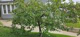 615 Albert Lea Street - Photo 54