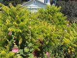 14620 94th Street - Photo 38