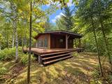 46815 Hartley Lake Road - Photo 3