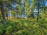 46815 Hartley Lake Road - Photo 6