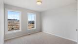 1969 Lusitano Street - Photo 39