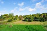 1969 Lusitano Street - Photo 5