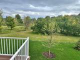 1969 Lusitano Street - Photo 70