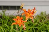 705 18th Street - Photo 44