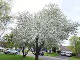 4301 144th Street - Photo 29