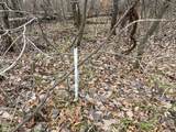 39xxx Osage Drive - Photo 10