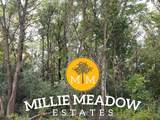 4009 Millie Meadow Drive - Photo 1