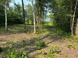 1254 Island Lake Resort Drive - Photo 2