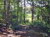 00 1 1/2  Lot 5 Street - Photo 7