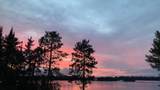 2565 County Road 103 - Photo 44