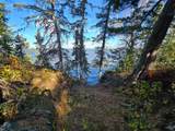 Tract 8 Brush Island - Photo 10