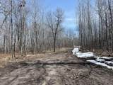 TBD Lot 5 New Manz Drive - Photo 4