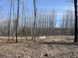 TBD Lot 5 New Manz Drive - Photo 5