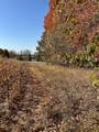 Tract C Pearl Lake Drive - Photo 38