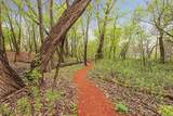 6239 Magda Drive - Photo 46
