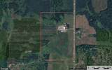 56761 State Hwy 123 N - Photo 63