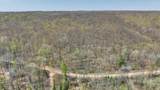3.91 Acres Gueldner Lane - Photo 10