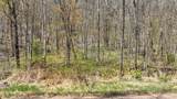 3.91 Acres Gueldner Lane - Photo 9