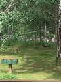 66605 Norway Spruce Road - Photo 28