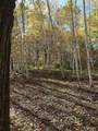 66605 Norway Spruce Road - Photo 30