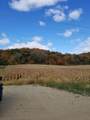 TBD Scenic Byway Road - Photo 11