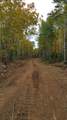 5241 Hut Two Road - Photo 6