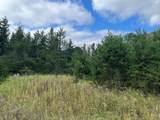 1707 Hassman Hill Tract D Road - Photo 1
