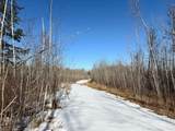 TBD Tangnes Forest Road - Photo 17