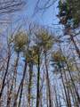 Lot 35 N4XX 297th Street - Photo 11