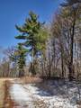 Lot 35 N4XX 297th Street - Photo 12