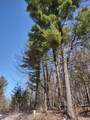 Lot 35 N4XX 297th Street - Photo 7