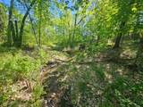 TBD Cr-13 Road - Photo 4