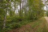 TBD Bass Lake Drive - Photo 10