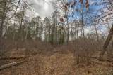 TBD Bass Lake Drive - Photo 13