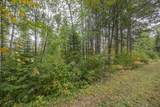 TBD Bass Lake Drive - Photo 14