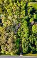 726 160th Avenue - Photo 4