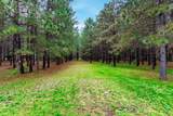 4619 Jenny Lane - Photo 26