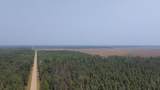 TBD 80 Acres Sunflower Road - Photo 10