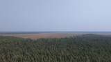 TBD 80 Acres Sunflower Road - Photo 11