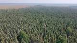 TBD 80 Acres Sunflower Road - Photo 12