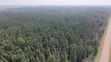 TBD 80 Acres Sunflower Road - Photo 14