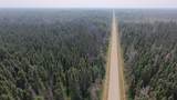 TBD 80 Acres Sunflower Road - Photo 15