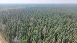 TBD 80 Acres Sunflower Road - Photo 17
